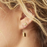 Earrings Behind Bars