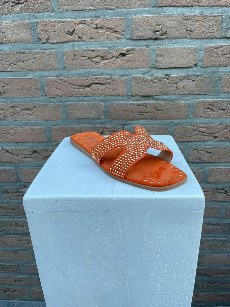 STUD SLIDES